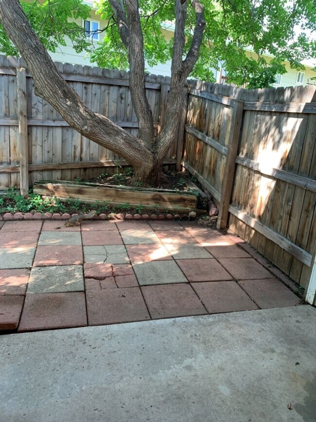 Building Photo - 1925 Ross Ct