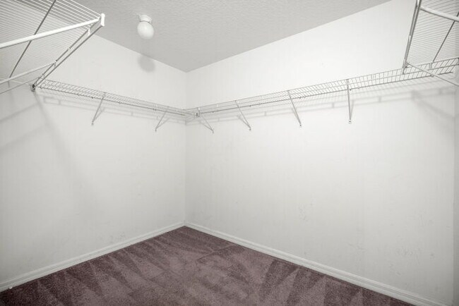 Building Photo - BEAUTIFUL Home For Rent in Cypress Creek!
