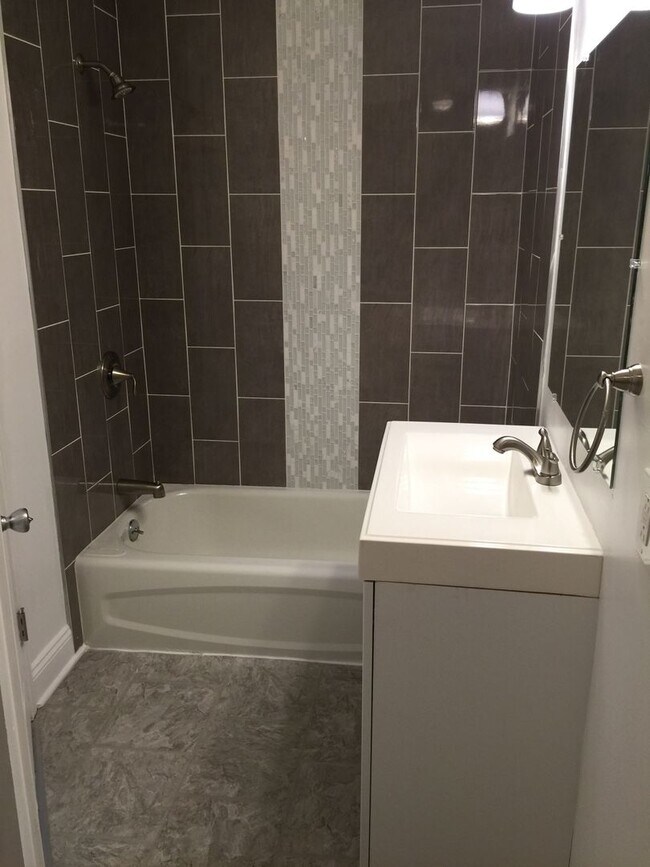 Building Photo - Newly Renovated - South Side Flats