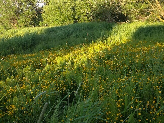 Building Photo - 19105 NE 112th Ave