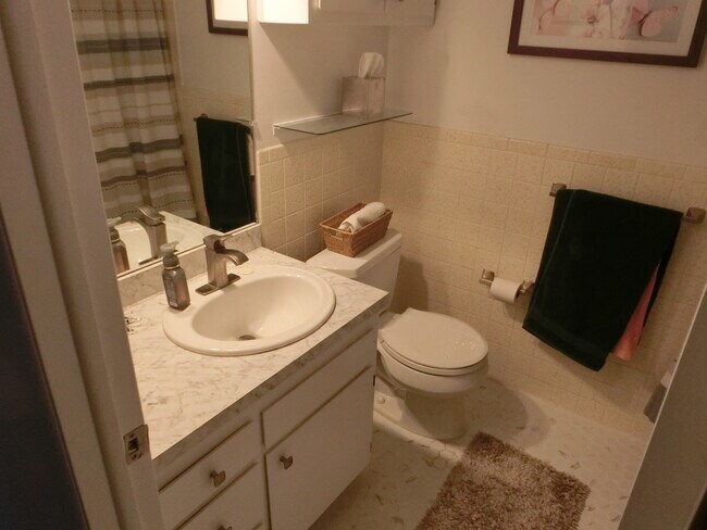 Hallway Bath - 430 Riviera Dr