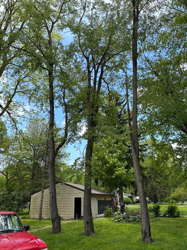 Building Photo - 5145 Patterson St