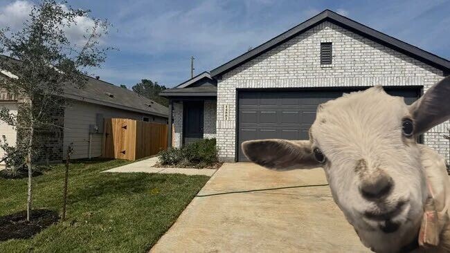 Building Photo - 14881 N Ascot Bnd Cir