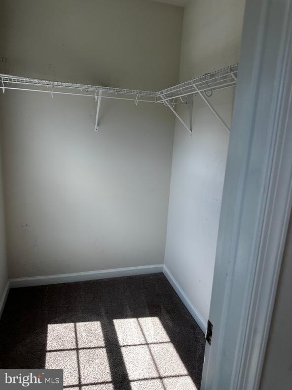 Building Photo - 4203 Flanders Ct
