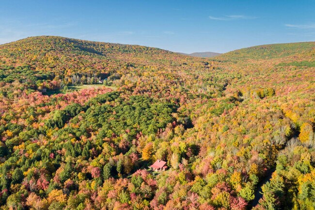 Building Photo - 525 Townsand Hollow Rd