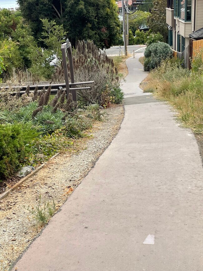 Building Photo - 1800 Centro West St