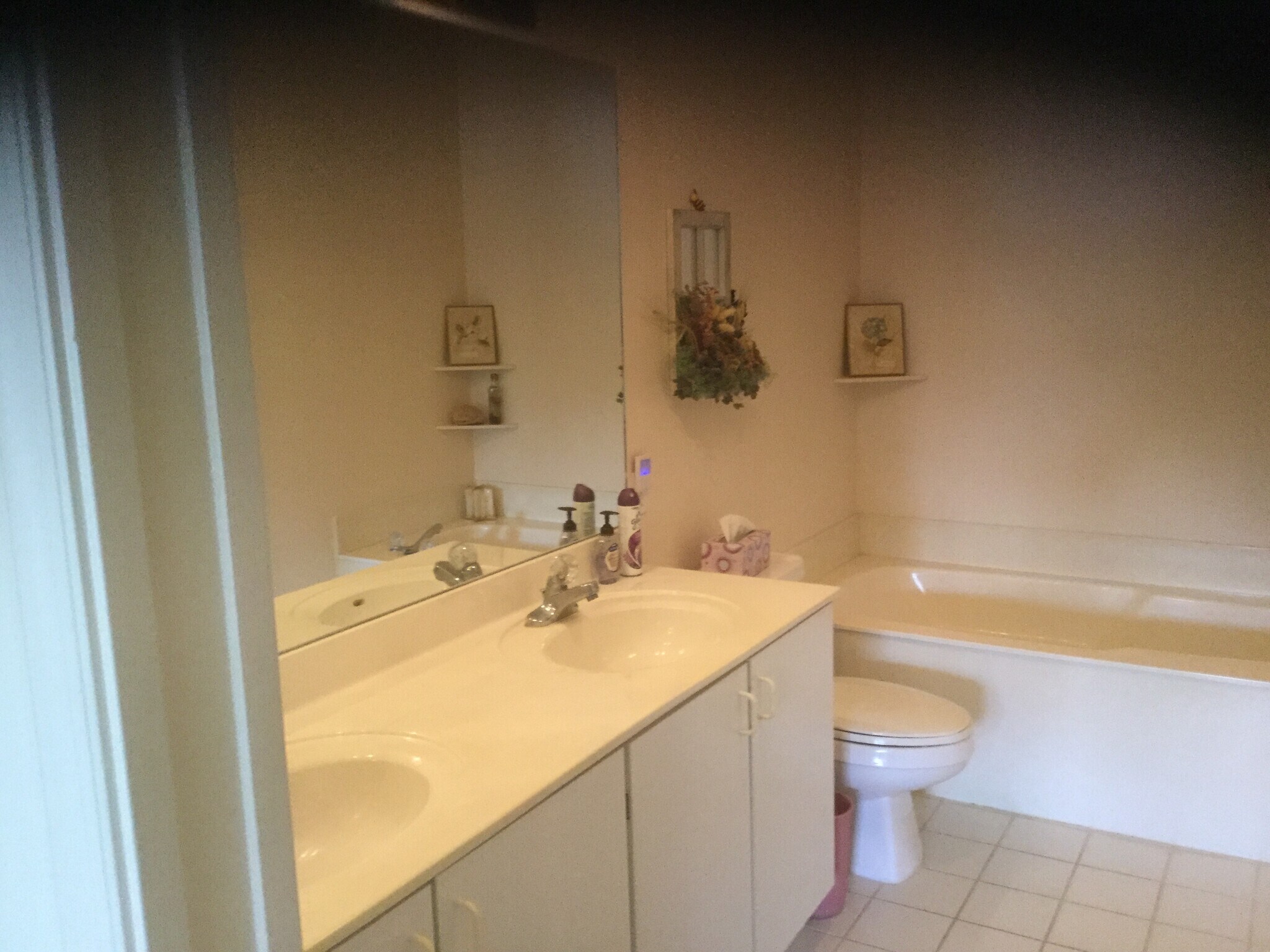 Building Photo - 2636 Mango Creek Ln