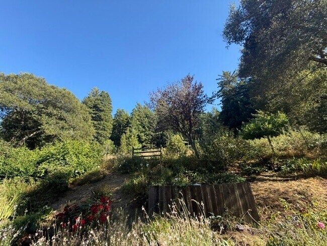 Building Photo - Showing Sunday, 8/2/2026 @ 4:30pm by Appt.  Welcome Home to Coleman Valley Rd Occidental