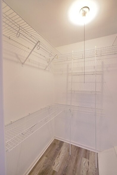 Building Photo - 1483 Cornell Ct