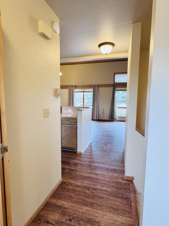 Building Photo - 2433 Sunlight Cir