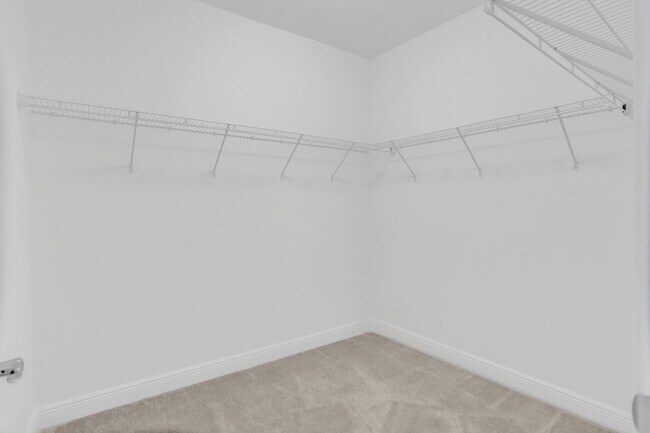 Building Photo - 585 Sanderling Cir