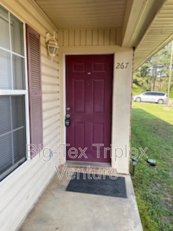 Building Photo - 267 N Pecan St