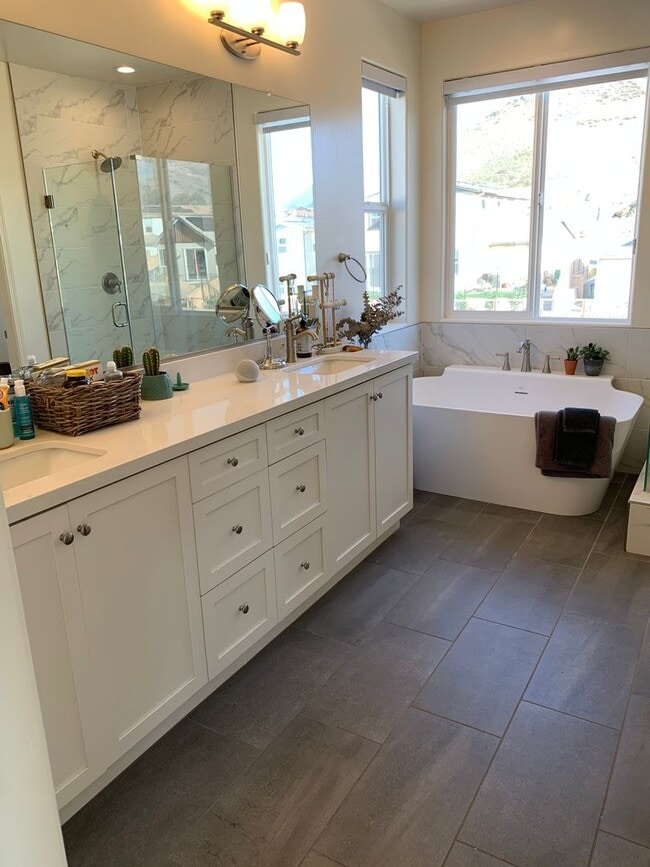 Building Photo - Beautiful 4 BD / 3 BA Home in Righetti Ranch