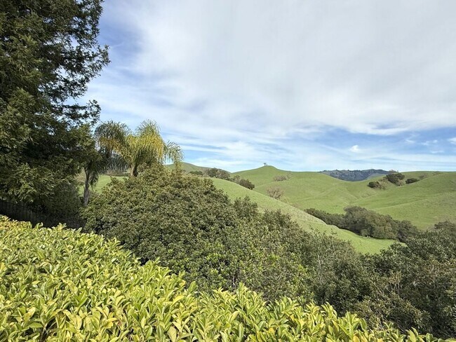 Building Photo - REDUCED ! Beautiful custom one story estate located on one of the most desirable streets in Black...