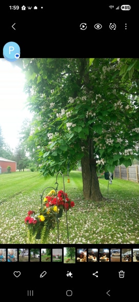 Building Photo - 7134 Kessling St