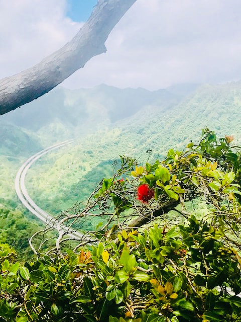 Building Photo - 99-1790-1790 Hoapono Pl