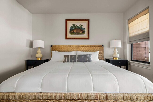 Building Photo - 1219 Sisterdale Rd