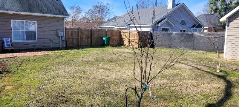 Building Photo - 138 Mossydale Ln