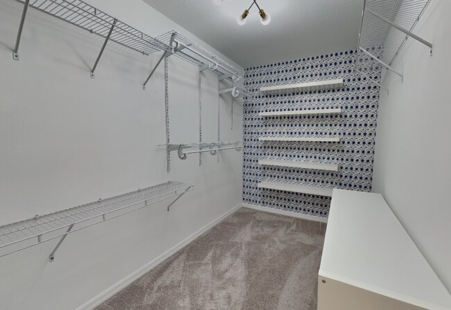 Building Photo - 3326 Azolla St
