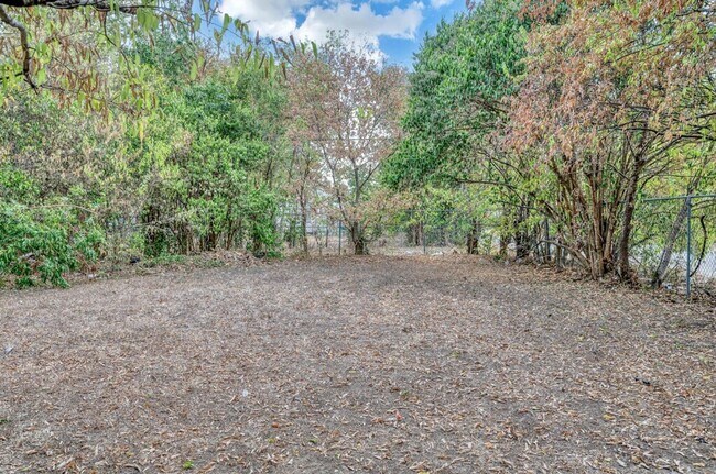 Building Photo - Spacious 4BD 2BA Home in Waco