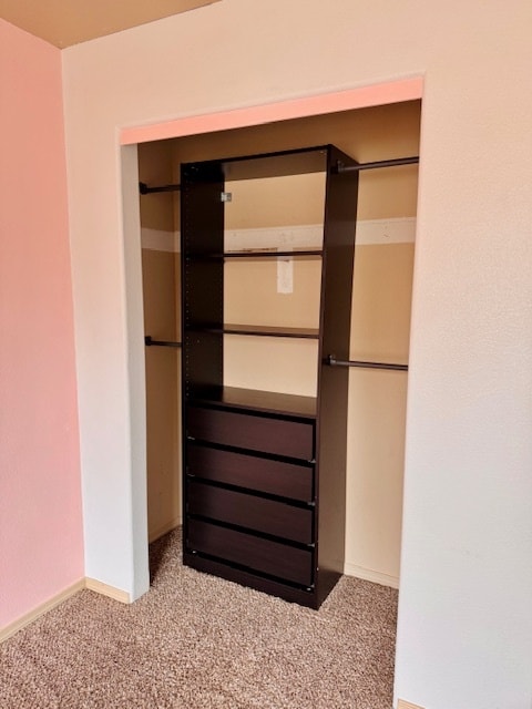 Built-in closet systems. - 38438 Galway St