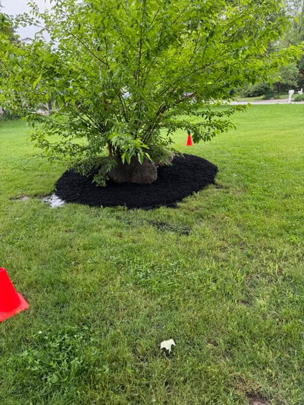 Building Photo - 8021 Knollgate Ct