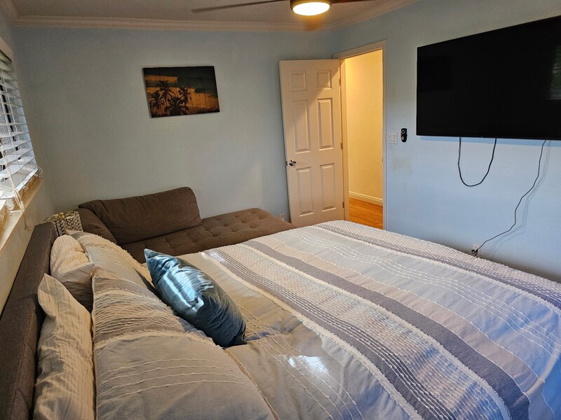 Building Photo - 293 Alaume St