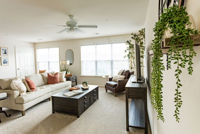2BR/2BA: Living Room - The Pointe at Peters Creek