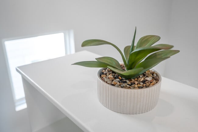 Building Photo - 303 Spruce St