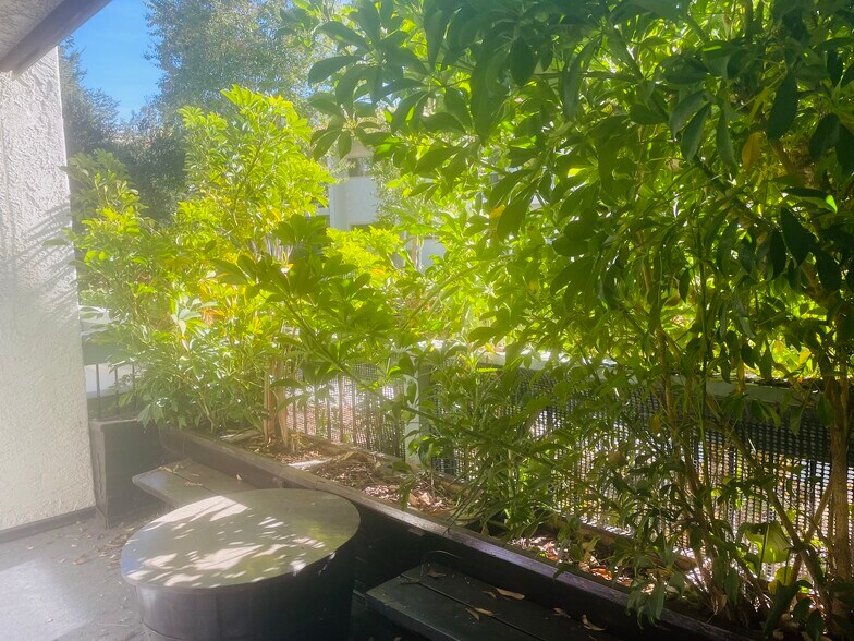 Private Patio - 4612 Park Granada