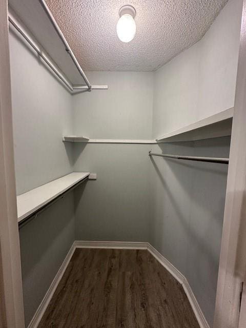 Building Photo - 6356 Burnham Wood Pl