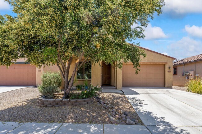 Primary Photo - 8623 N Western Juniper Terrace