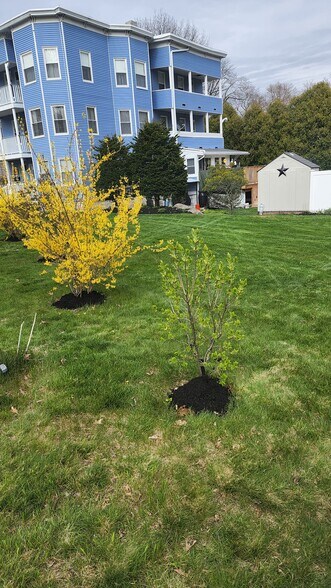 Building Photo - 260 Walton St