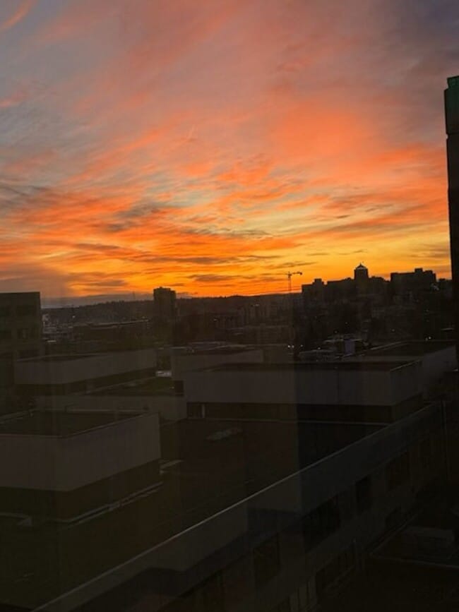 Building Photo - Capitol Hill Townhome