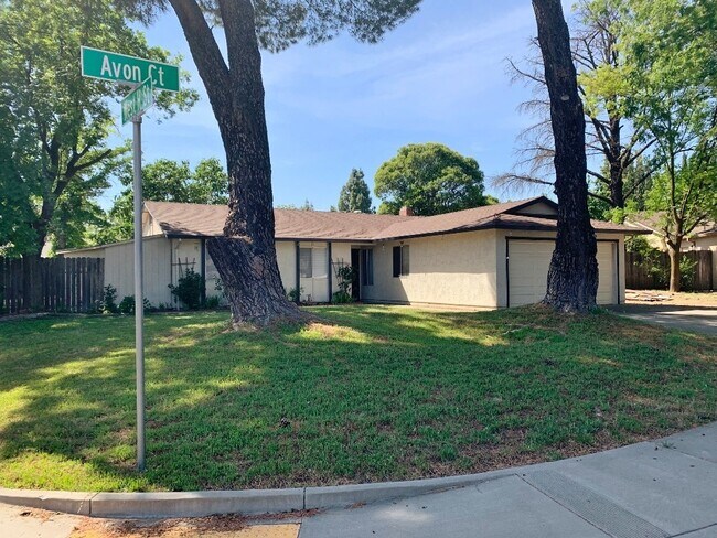Building Photo - 805 Avon Ct