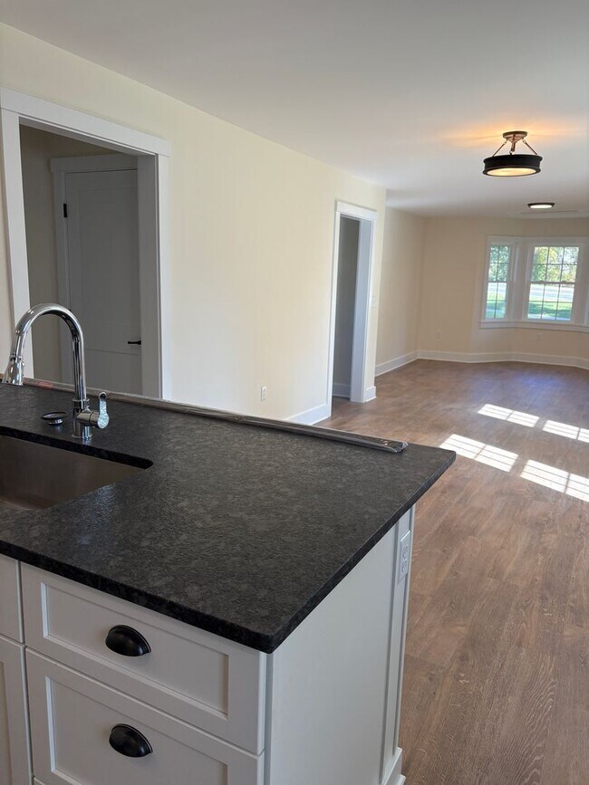 Building Photo - NEW Luxury 2 Bedroom apartments!