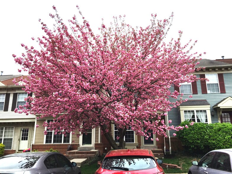 Building Photo - 6526 Medinah Ln