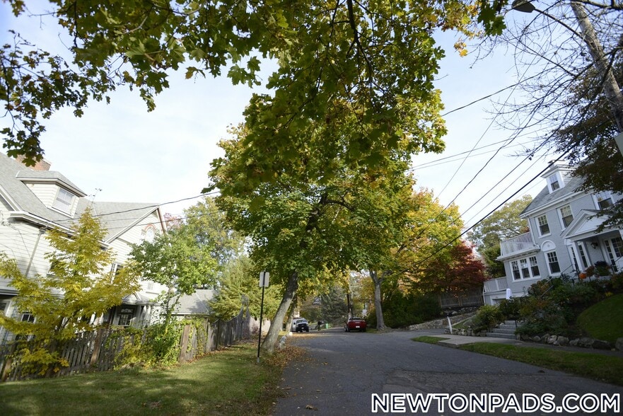 Primary Photo - 17 Chestnut Hill Terrace
