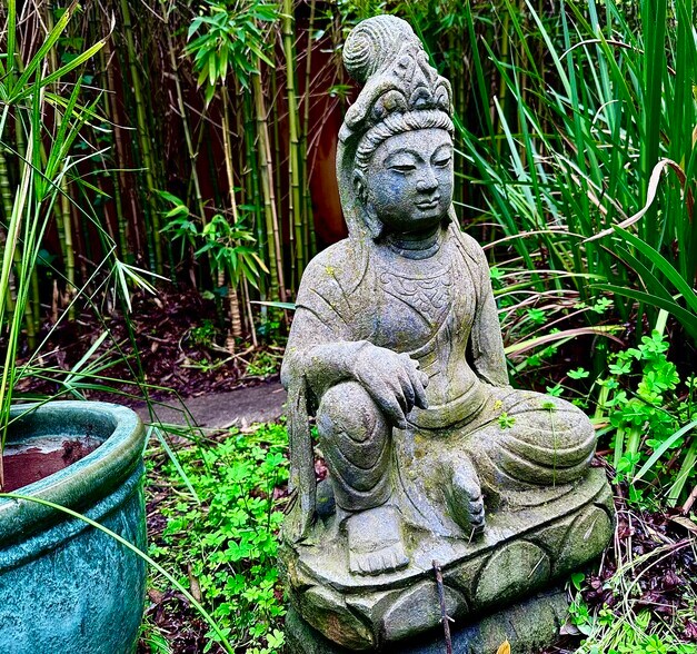 Quan Ying, surveying the backyard - 645 San Jose Ave