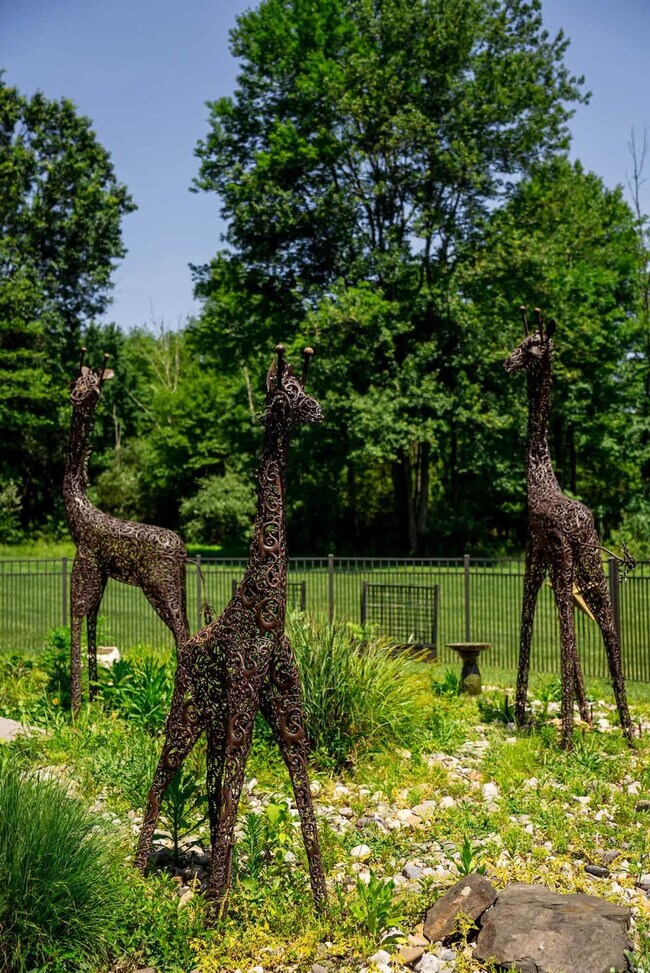 Building Photo - 7223 Ferry Rd