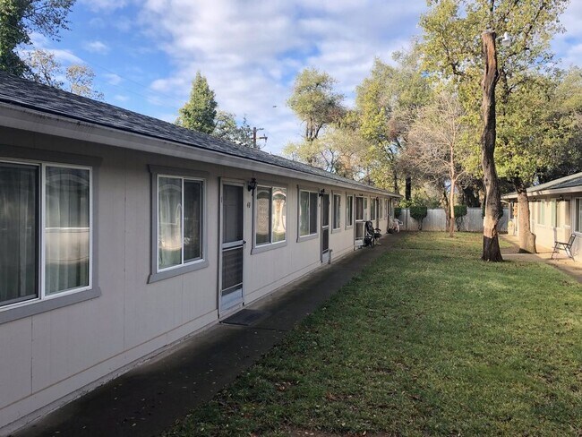 Building Photo - 3629 Bechelli Lane - 37