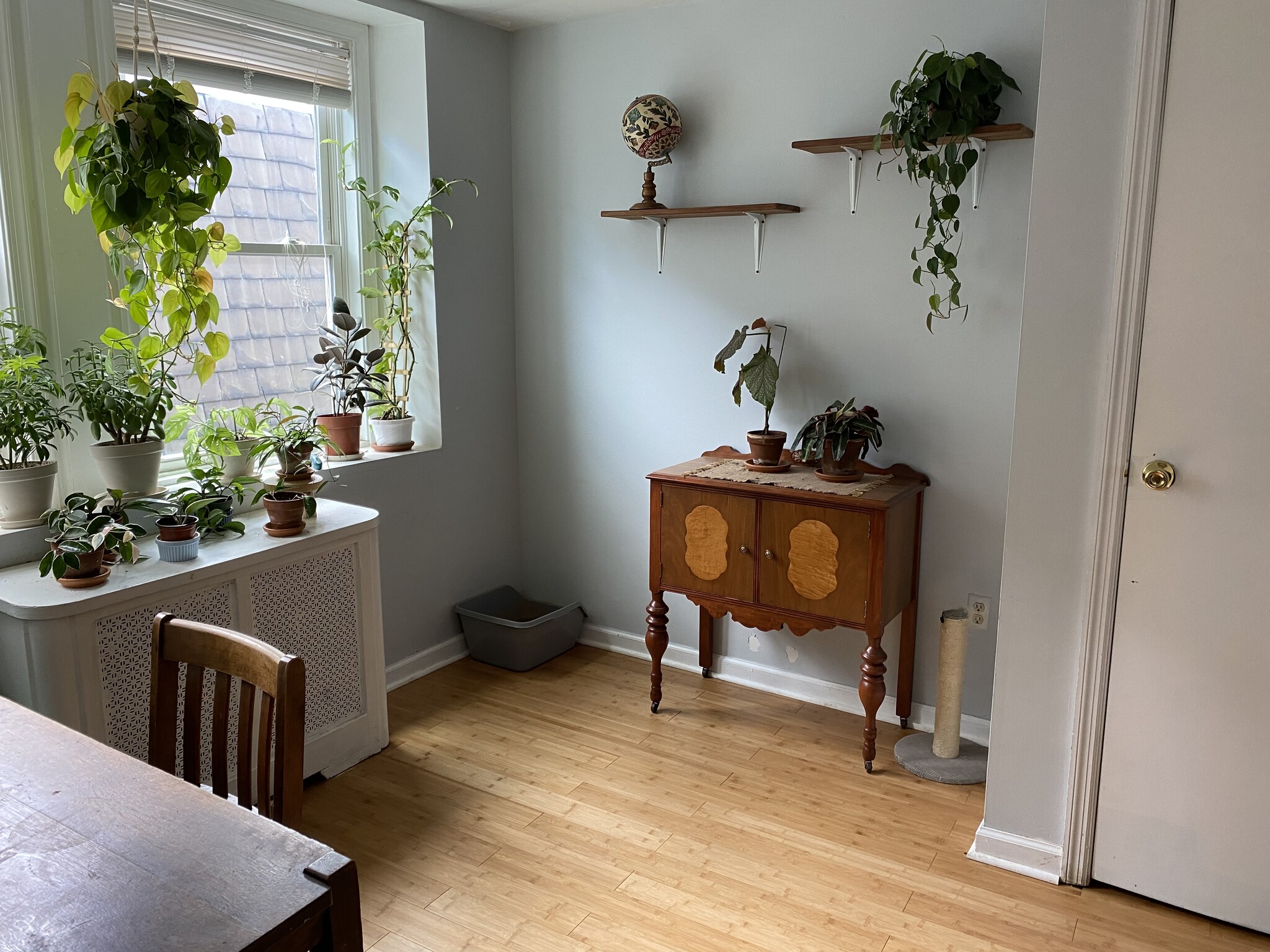 2nd bedroom - 5006 Hazel Ave