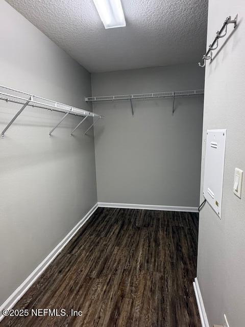 Building Photo - 2723 Wood Stork Trail