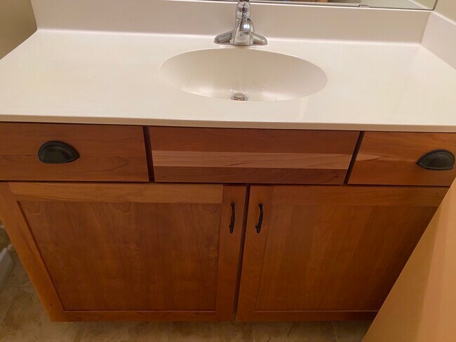 Bathroom counter and sink - 3251 Louisiana Ave S