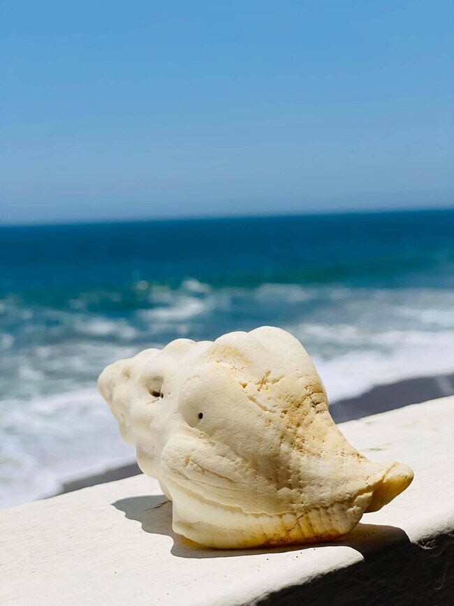 Building Photo - 25432 Malibu Rd