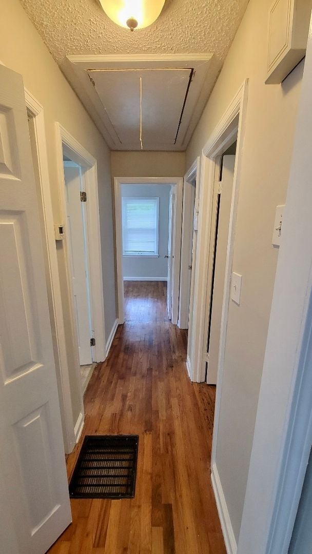 Building Photo - Charming 3 bedroom Bungalow