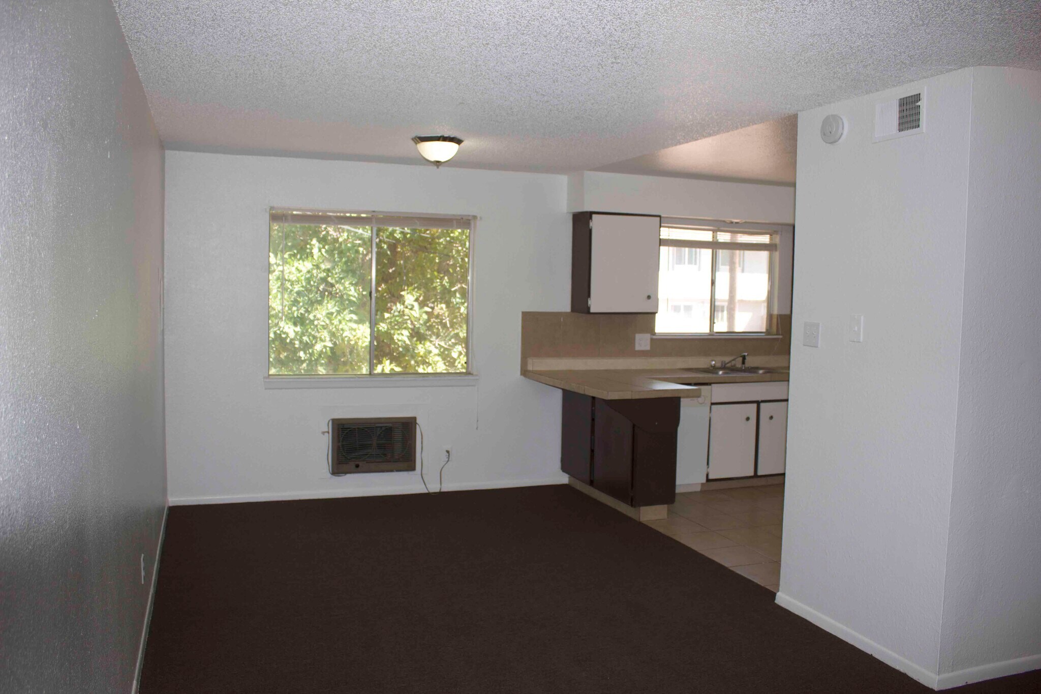 dining room and kitchen - 21 Douglas Ln