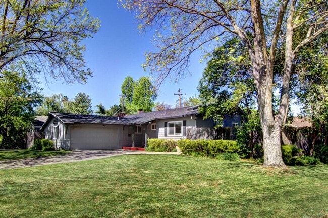 Primary Photo - Adorable College Green 3 BDRM 2 BATH available early-mid January!