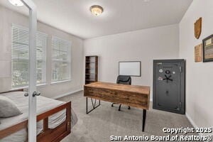 Building Photo - 413 Cowboy Peak