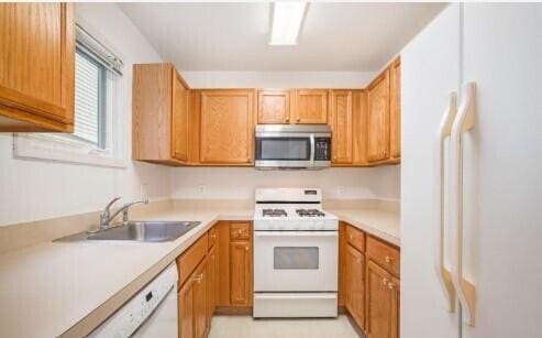 Building Photo - 905 Wildt St